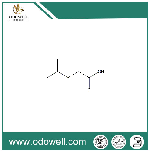 4-Methylvaleric Acid