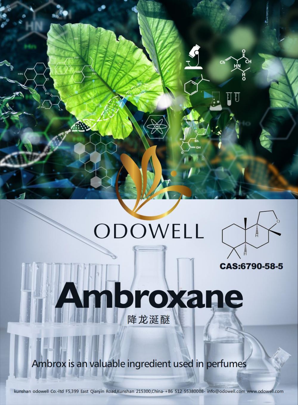 Odowell відзначає успішний рік для Амброксану (Ambrox)