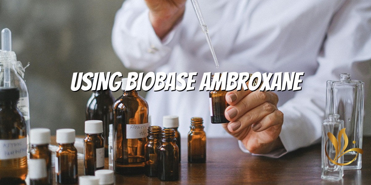 Оволодіння Ambrox - Посібник з парфумів до позачасових творінь