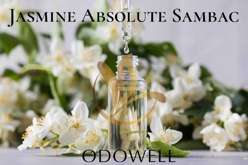 ​ODOWELL запускає Jasmine Absolute Sambac — преміальний натуральний абсолют жасмину для парфумерії та краси