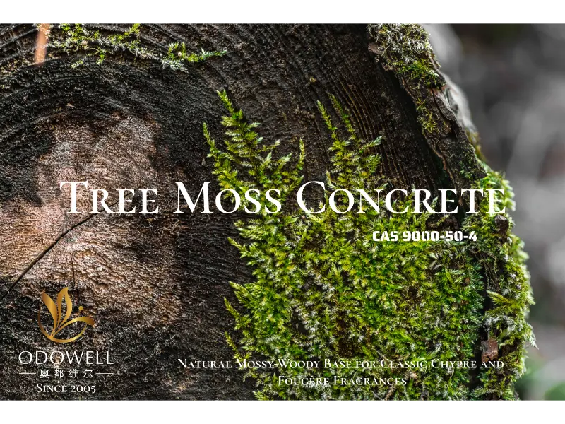 Tree Moss Concrete – натуральна мохо-деревна основа від ODOWELL для класичних шипрових і фужерних ароматів