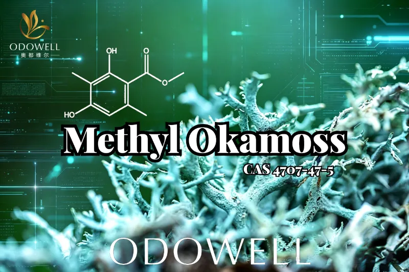 ​ODOWELL представляє Methyl Okamoss: автентичний синтетичний дубовий мох для шипрової та фужерної майстерності