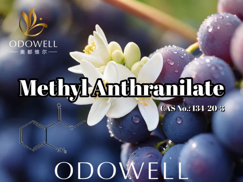 ​ODOWELL рекомендує метилантранілат для обробки винограду, апельсинового цвіту та неролі